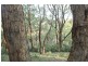 19 (lot 9) Fern Road, Crafers West SA 5152