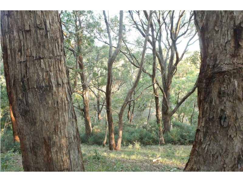 19 (lot 9) Fern Road, Crafers West SA 5152