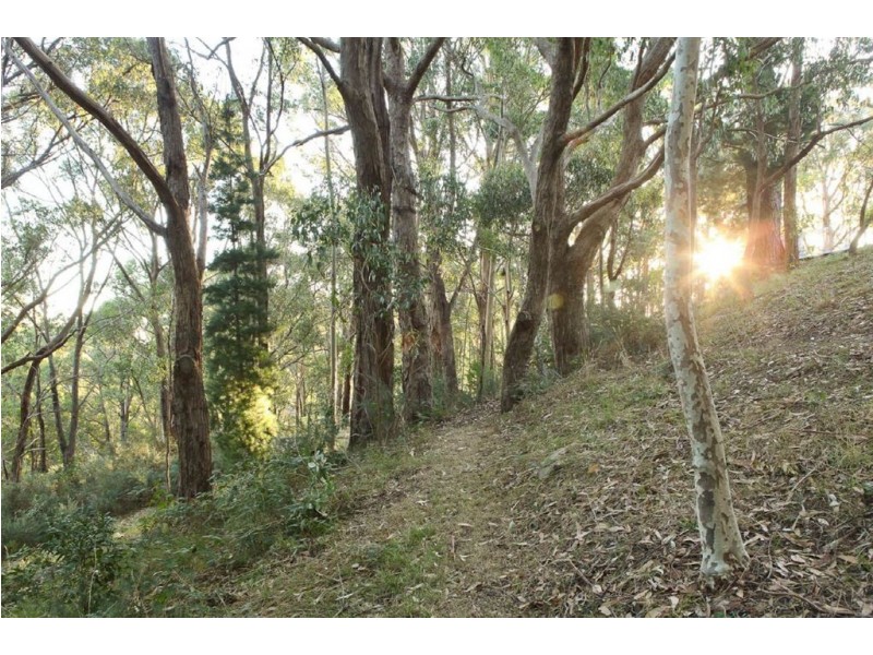 19 (lot 9) Fern Road, Crafers West SA 5152