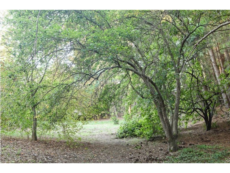 19 (lot 9) Fern Road, Crafers West SA 5152