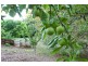 19 (lot 9) Fern Road, Crafers West SA 5152