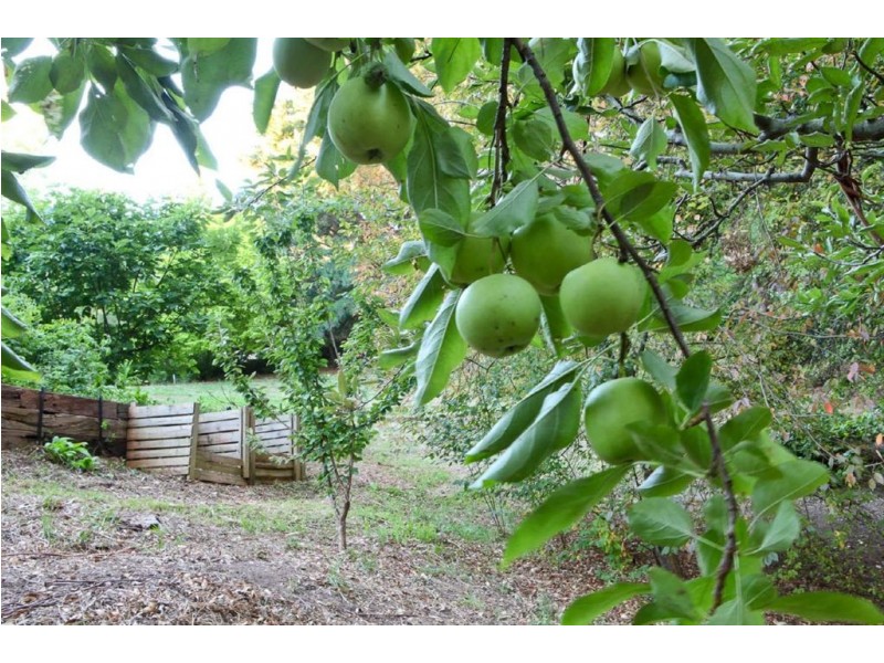19 (lot 9) Fern Road, Crafers West SA 5152