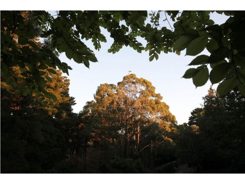 19 (lot 9) Fern Road, Crafers West SA 5152