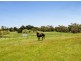621 Flaxley Road, Echunga SA 5153