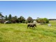 621 Flaxley Road, Echunga SA 5153
