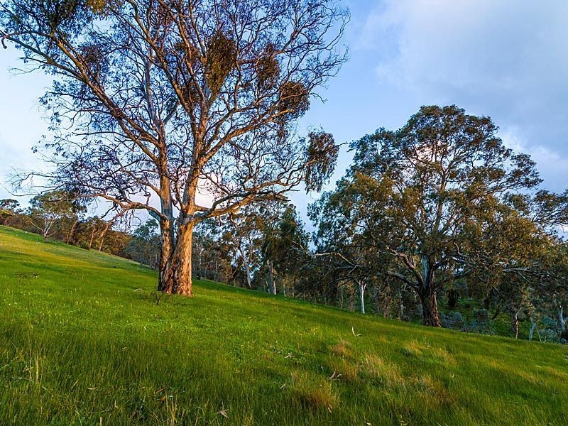 156 Hill Road, Kersbrook SA 5231