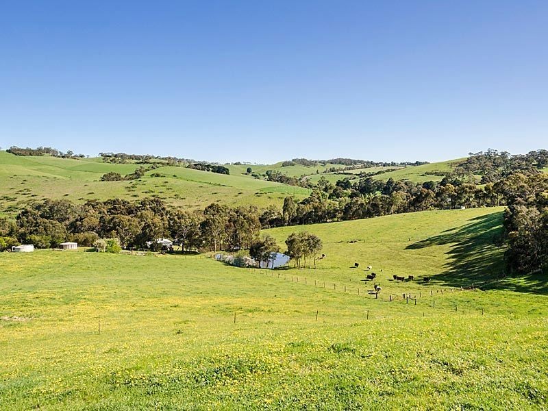 361 Bull Creek Road PARIS CREEK, Meadows SA 5201