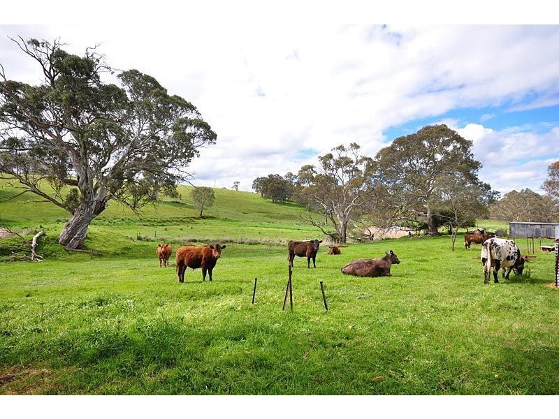 9 Bunnett Road, Wistow SA 5251