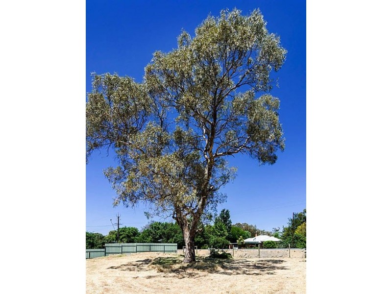 Lot 217 Melrose Street, Mount Pleasant SA 5235