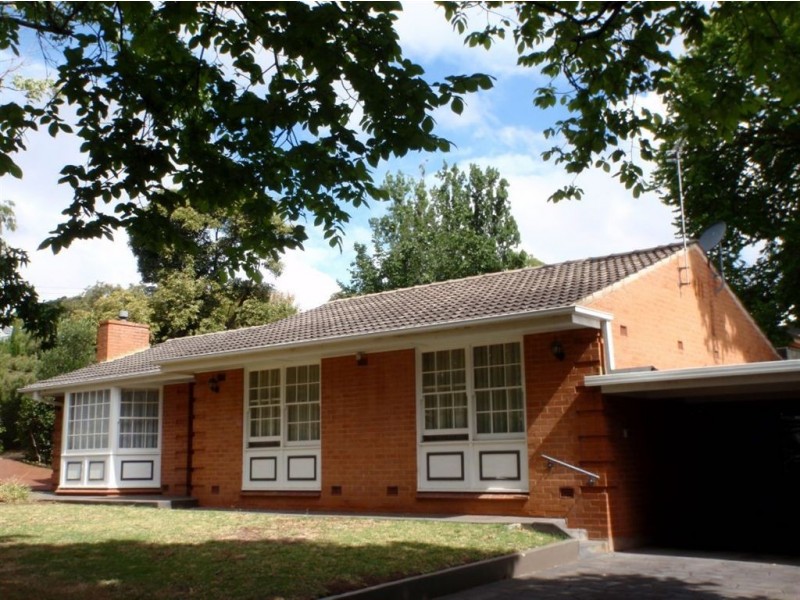 19 Blairgowrie Road, St Georges SA 5064