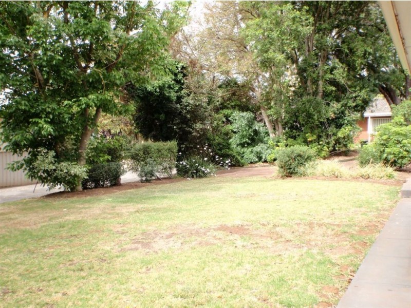 19 Blairgowrie Road, St Georges SA 5064