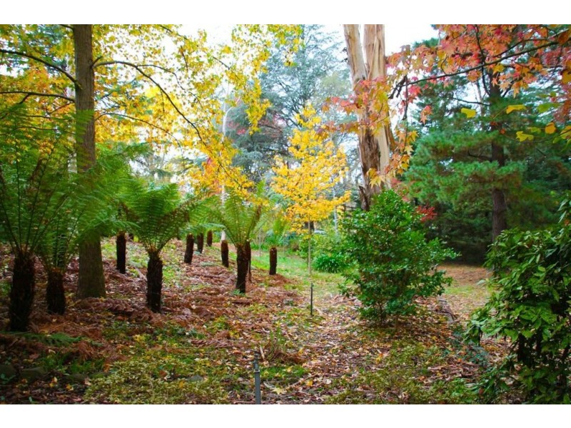 Lot 100 Piccadilly Road, Crafers SA 5152