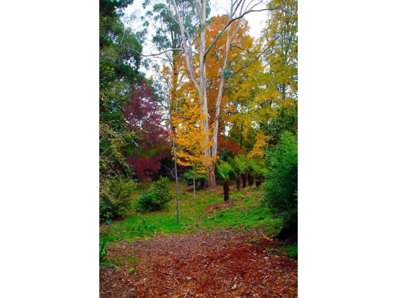 Lot 100 Piccadilly Road, Crafers SA 5152