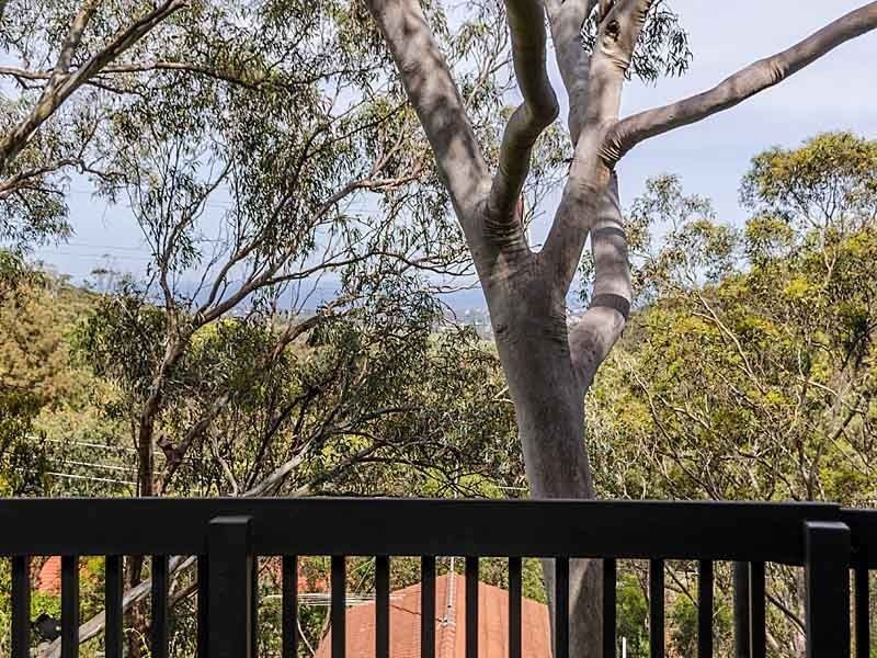 15 Hannaford Road, Blackwood SA 5051