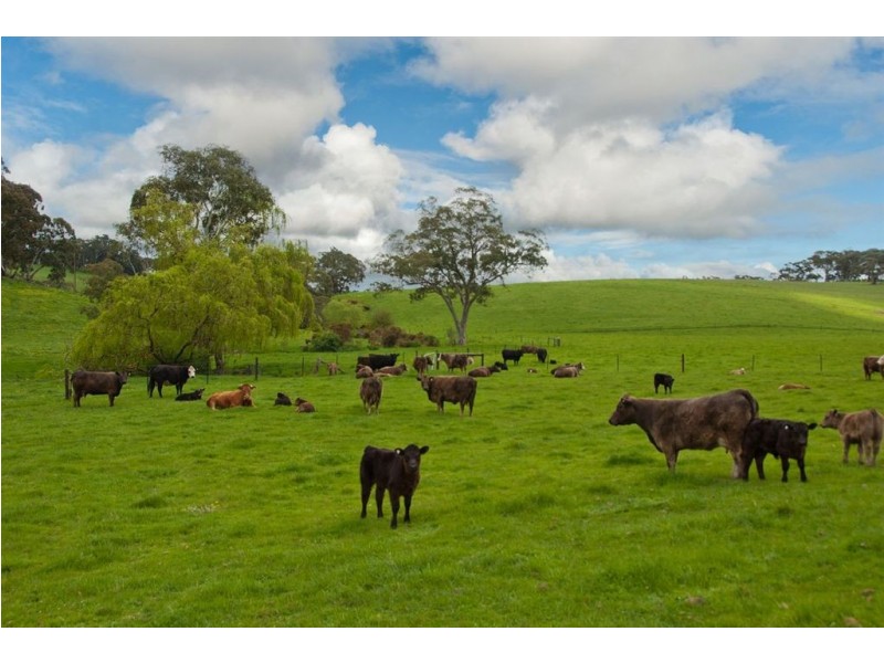 178 Quarry Road, Macclesfield SA 5153