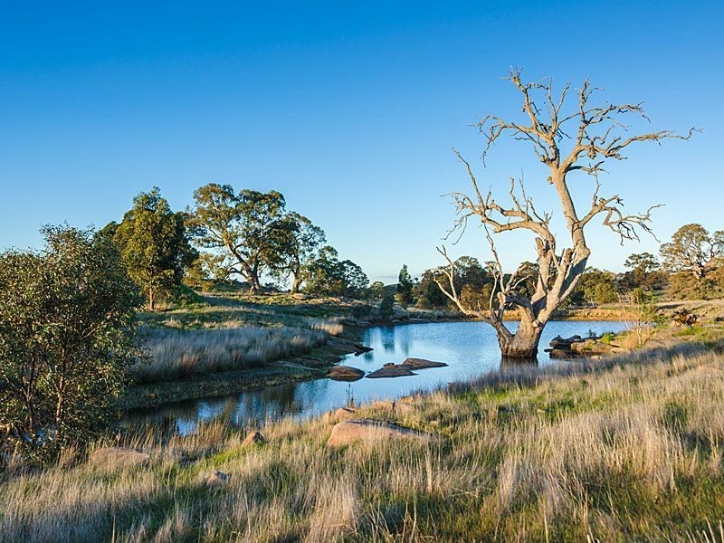 Lot 225 Pebbly Range Road, Tungkillo SA 5236