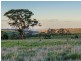 Lot 225 Pebbly Range Road, Tungkillo SA 5236