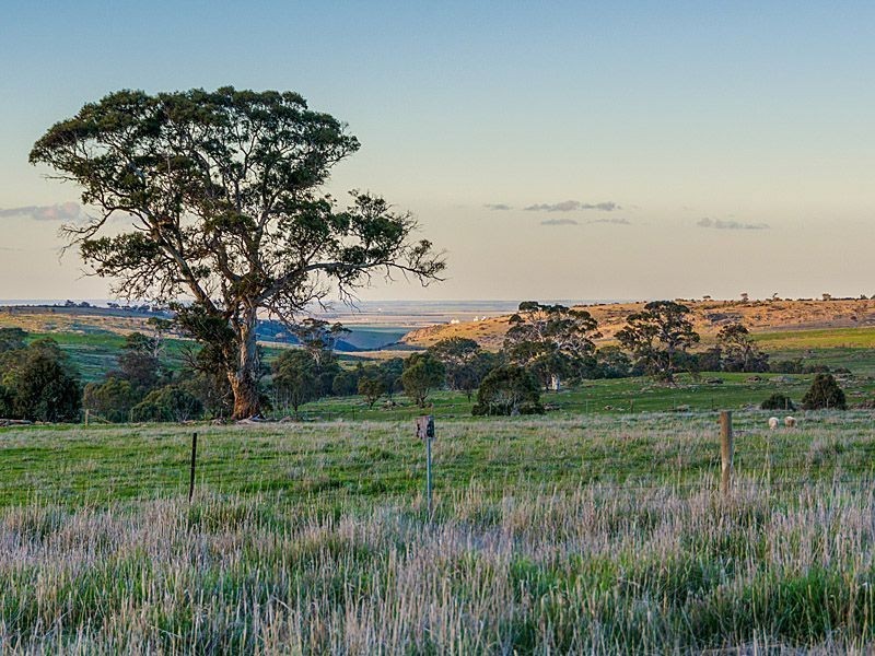 Lot 225 Pebbly Range Road, Tungkillo SA 5236
