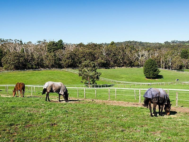 81 Snelling Road, Hahndorf SA 5245