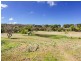 34 Blakiston Road, Blakiston SA 5250