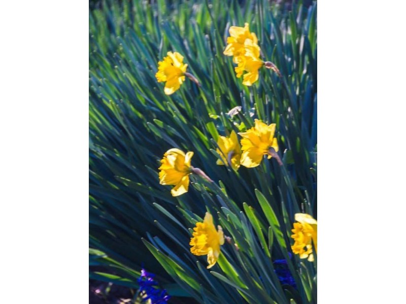 34 Nairne-Woodside Road, Woodside SA 5244