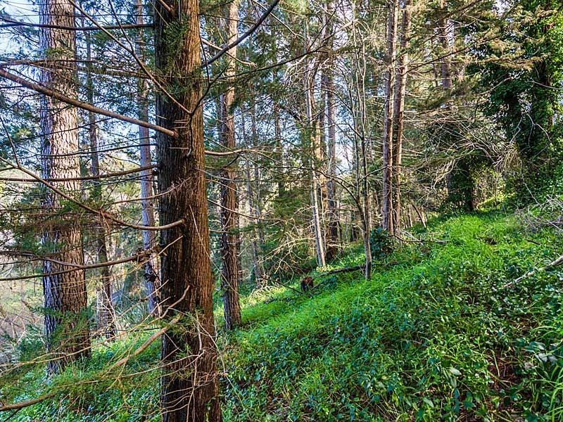 9 Gould Lane, Stirling SA 5152