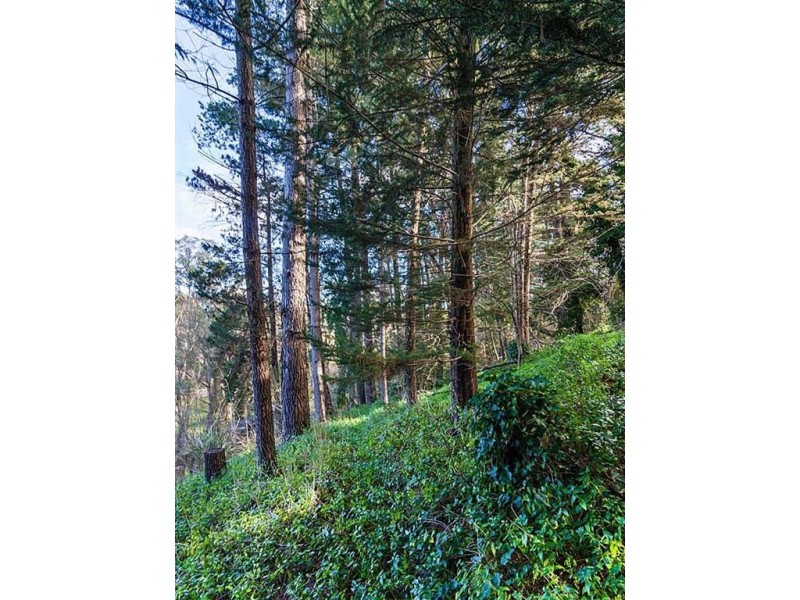 9 Gould Lane, Stirling SA 5152