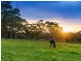 366 Bonython Road, Bugle Ranges SA 5251