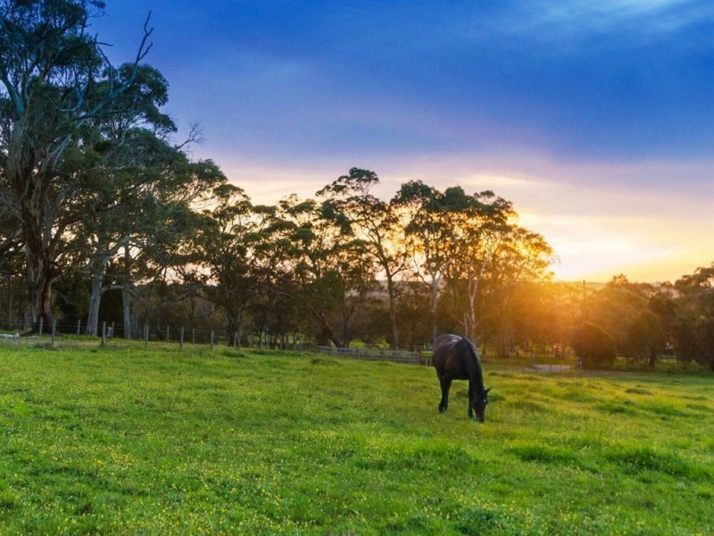 366 Bonython Road, Bugle Ranges SA 5251