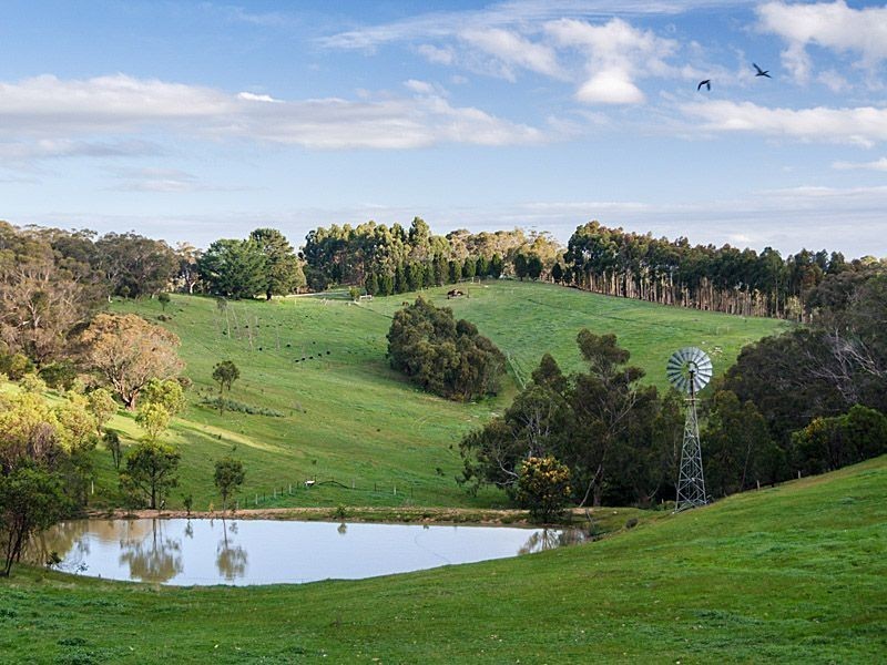 152 Winton Road, Birdwood SA 5234