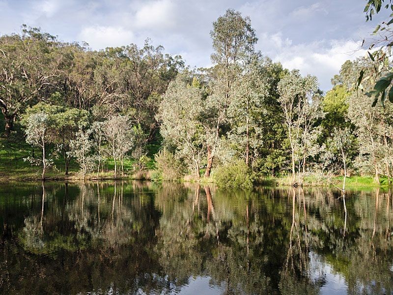 152 Winton Road, Birdwood SA 5234