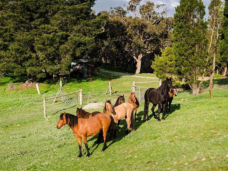 152 Winton Road, Birdwood SA 5234