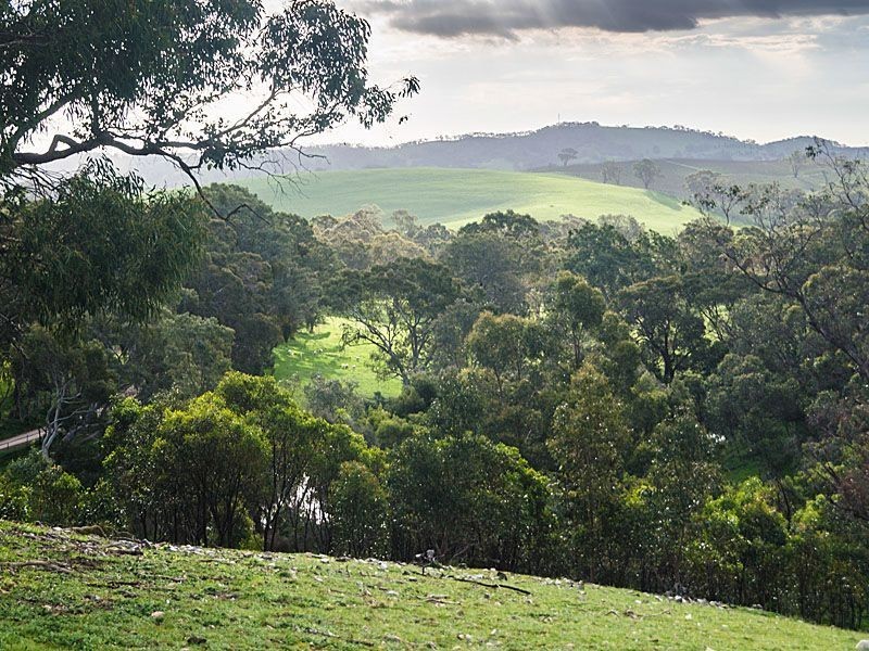 152 Winton Road, Birdwood SA 5234