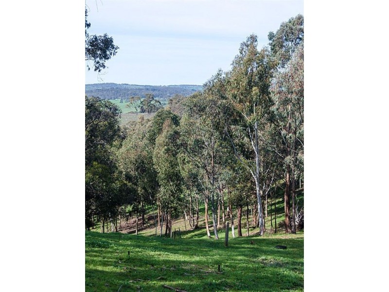 152 Winton Road, Birdwood SA 5234