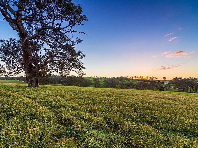 93 McLean Road, Birdwood SA 5234