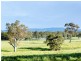 370 Kondoparinga Road, Meadows SA 5201