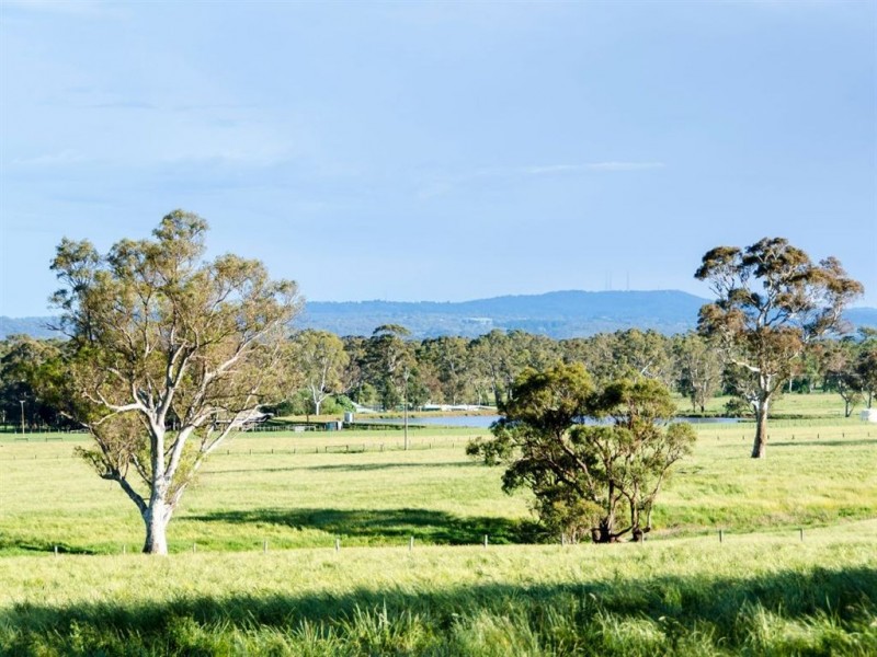 370 Kondoparinga Road, Meadows SA 5201