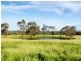370 Kondoparinga Road, Meadows SA 5201