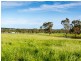 370 Kondoparinga Road, Meadows SA 5201