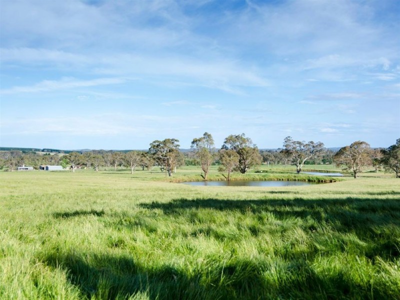 370 Kondoparinga Road, Meadows SA 5201