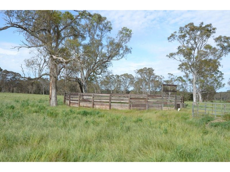370 Kondoparinga Road, Meadows SA 5201