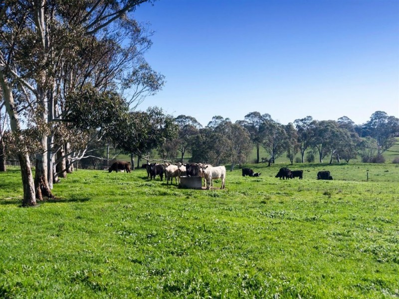 30 Battunga Road, Echunga SA 5153