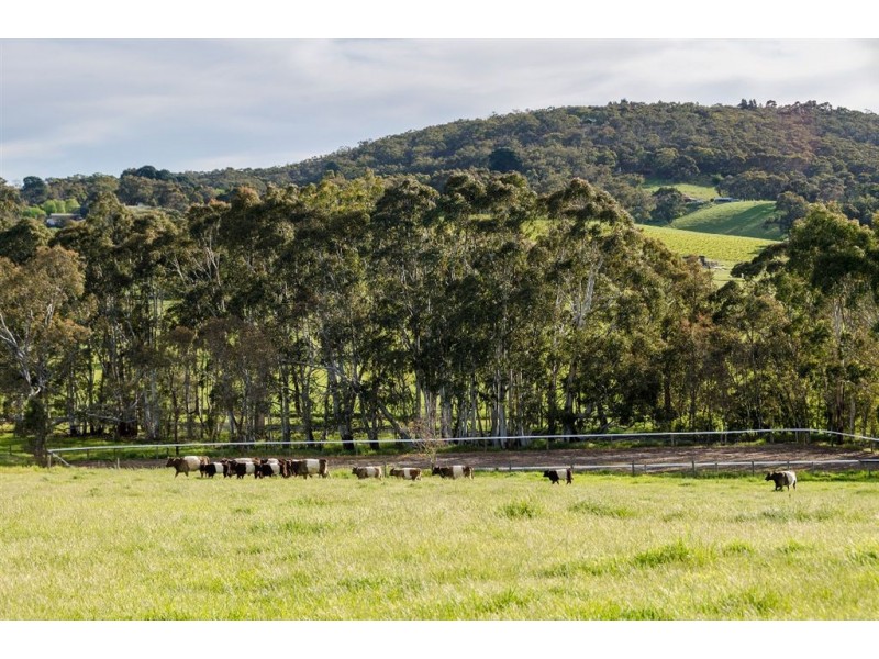 16 Vogt Road, via Silver Lake Rd, Mylor SA 5153