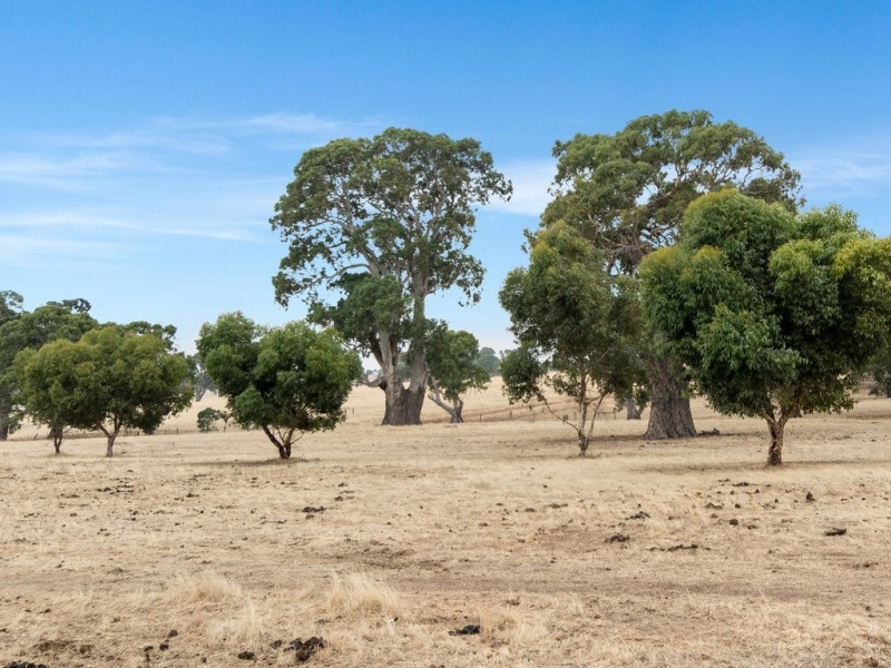 80 Burns Extension Road, Mount Pleasant SA 5235