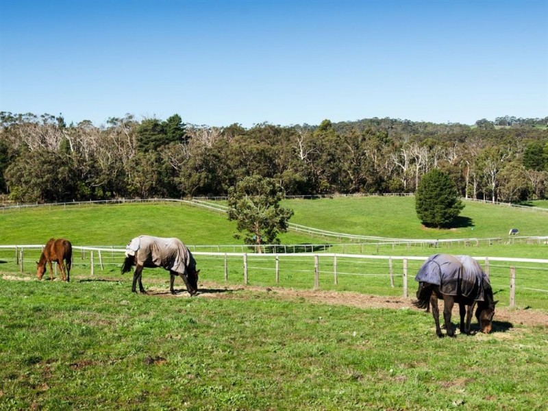 81 Snelling Road, Hahndorf SA 5245
