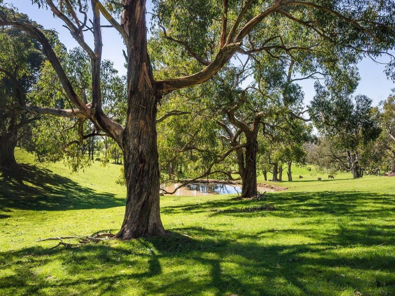 260 Whites Road, Flaxley via, Echunga SA 5153