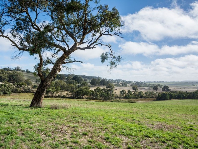 260 Whites Road, Flaxley via, Echunga SA 5153