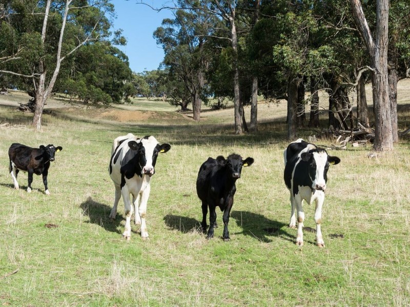 260 Whites Road, Flaxley via, Echunga SA 5153