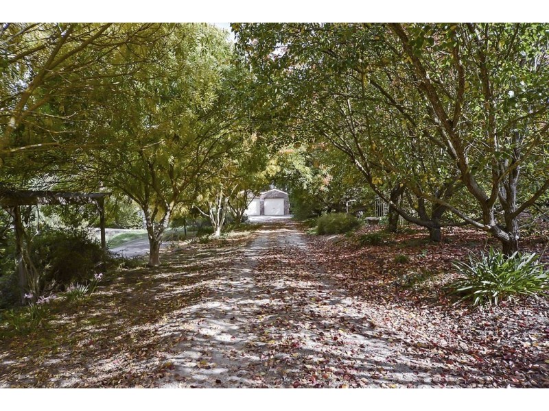 561 Forreston Road, Forreston SA 5233