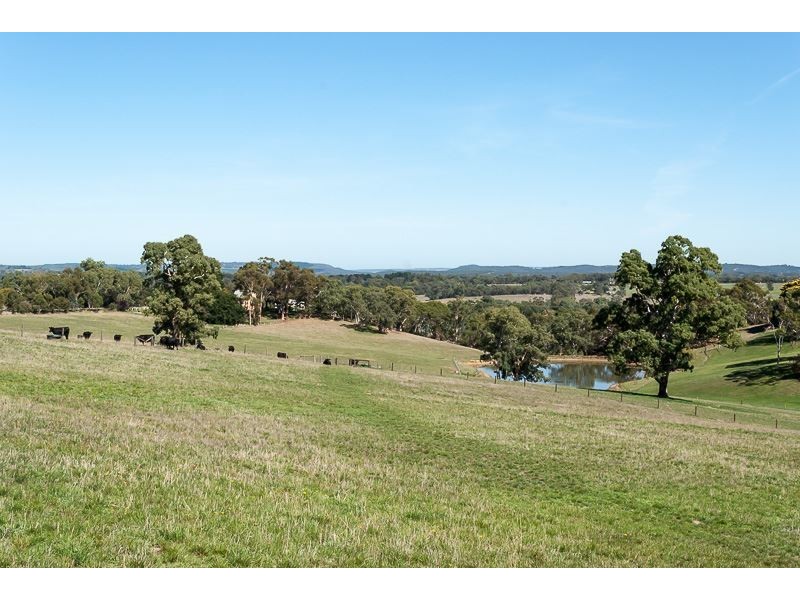 43 Old Mount Barker Road, Echunga SA 5153